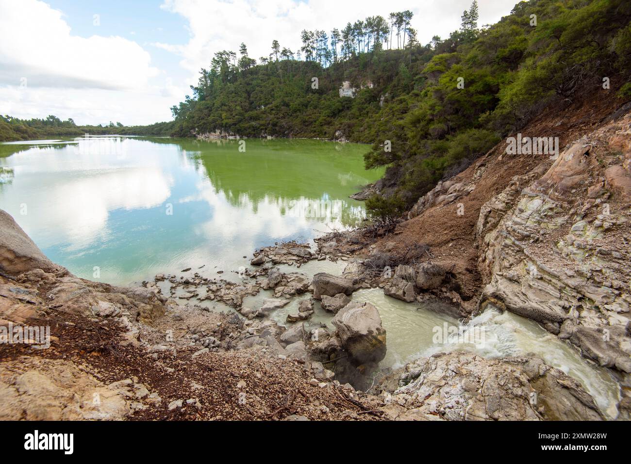 Lac Ngakoro à Waiotapu - Nouvelle-Zélande Banque D'Images