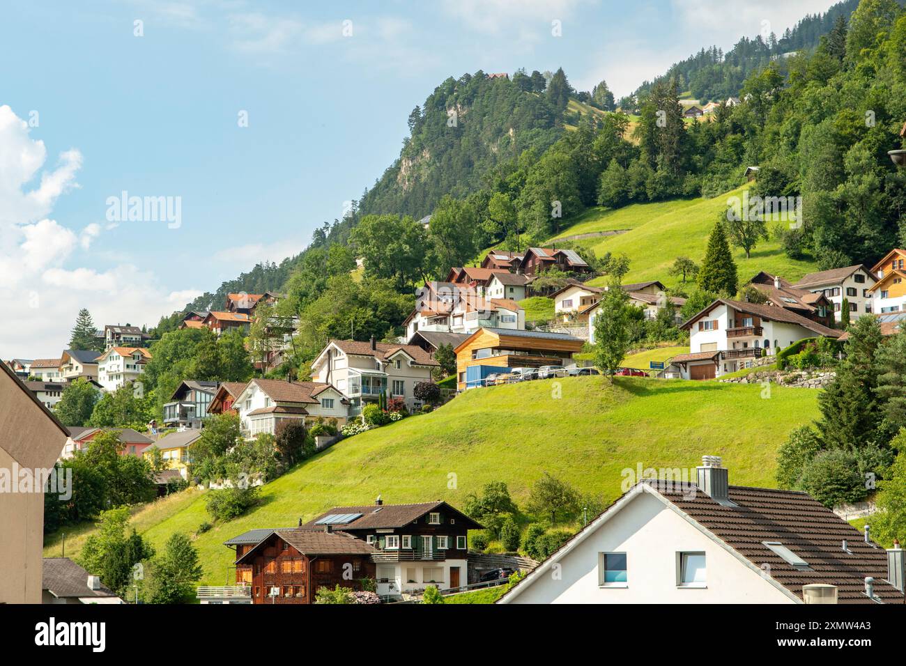 Logements à flanc de montagne, Triesenberg, Liechtenstein Banque D'Images