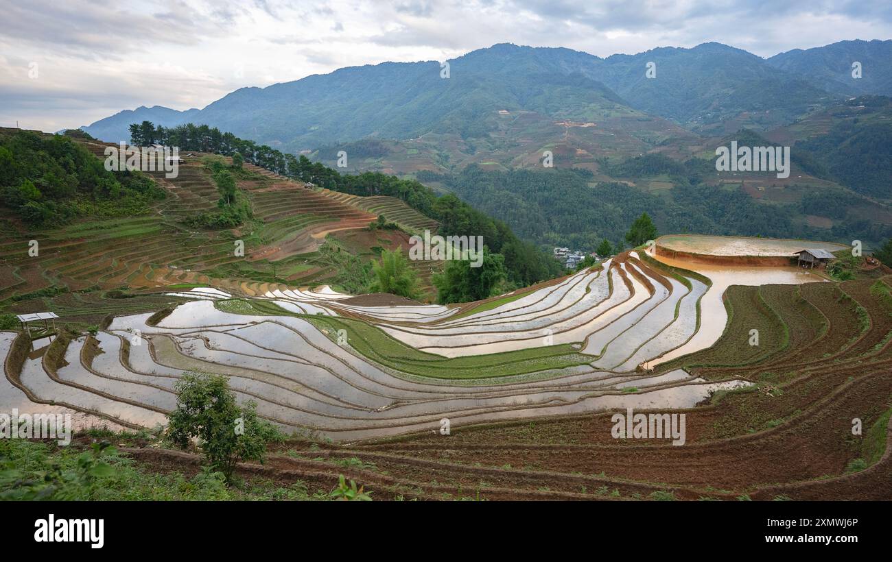 Paysage irrigué avec des reflets du soleil et des champs en terrasses de riz vert et ciel nuageux bleu près de Mu Cang Chai, province de Yen Bai, Nord-Vietnam Banque D'Images