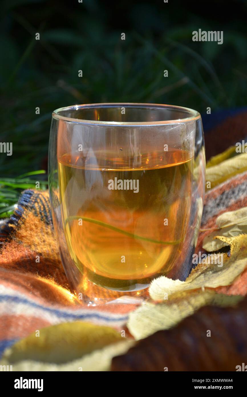 Thé Gunpowder dans un verre à double paroi. Banque D'Images