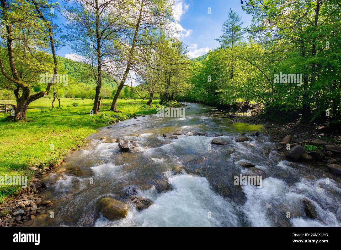 paysage avec montagnes, forêt et une rivière en face. beaux paysages au printemps Banque D'Images