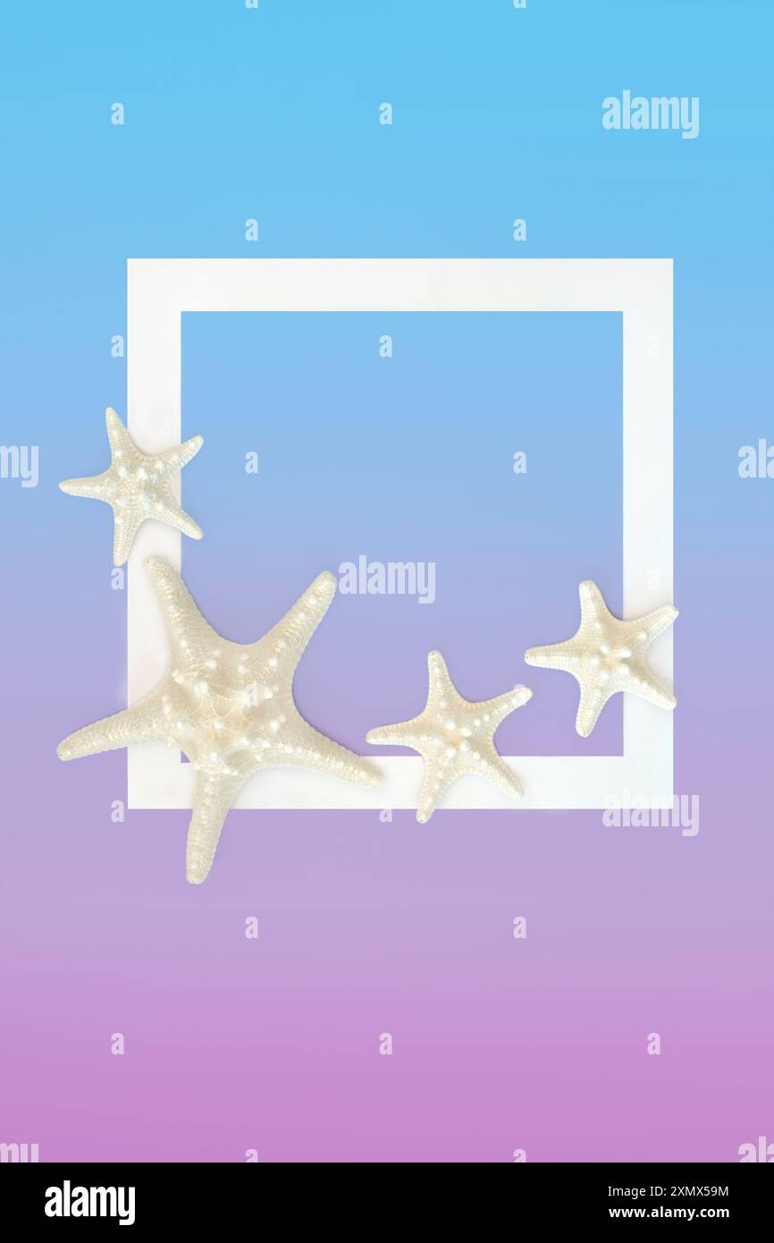 Fond d'été Starfish Seashells avec cadre carré sur dégradé bleu violet. Conception décorative de vie marine pour carte de voeux, étiquette cadeau, étiquette. Banque D'Images