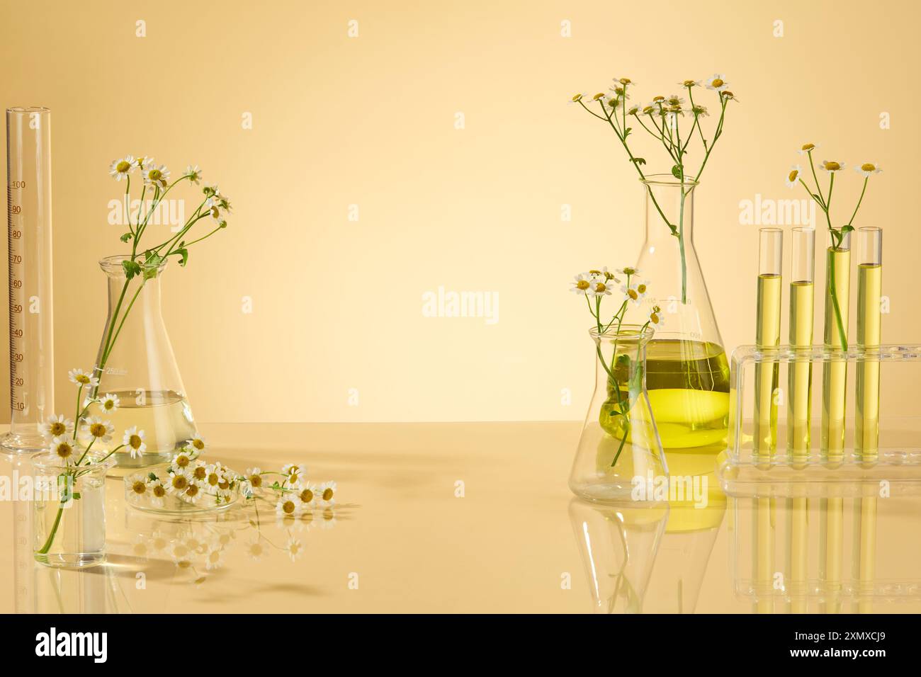 Flacon volumétrique en verre, flacons de laboratoire sont utilisés pour la recherche en laboratoire en arrière-plan. Pour la publicité cosmétique, produit naturel biologique Banque D'Images