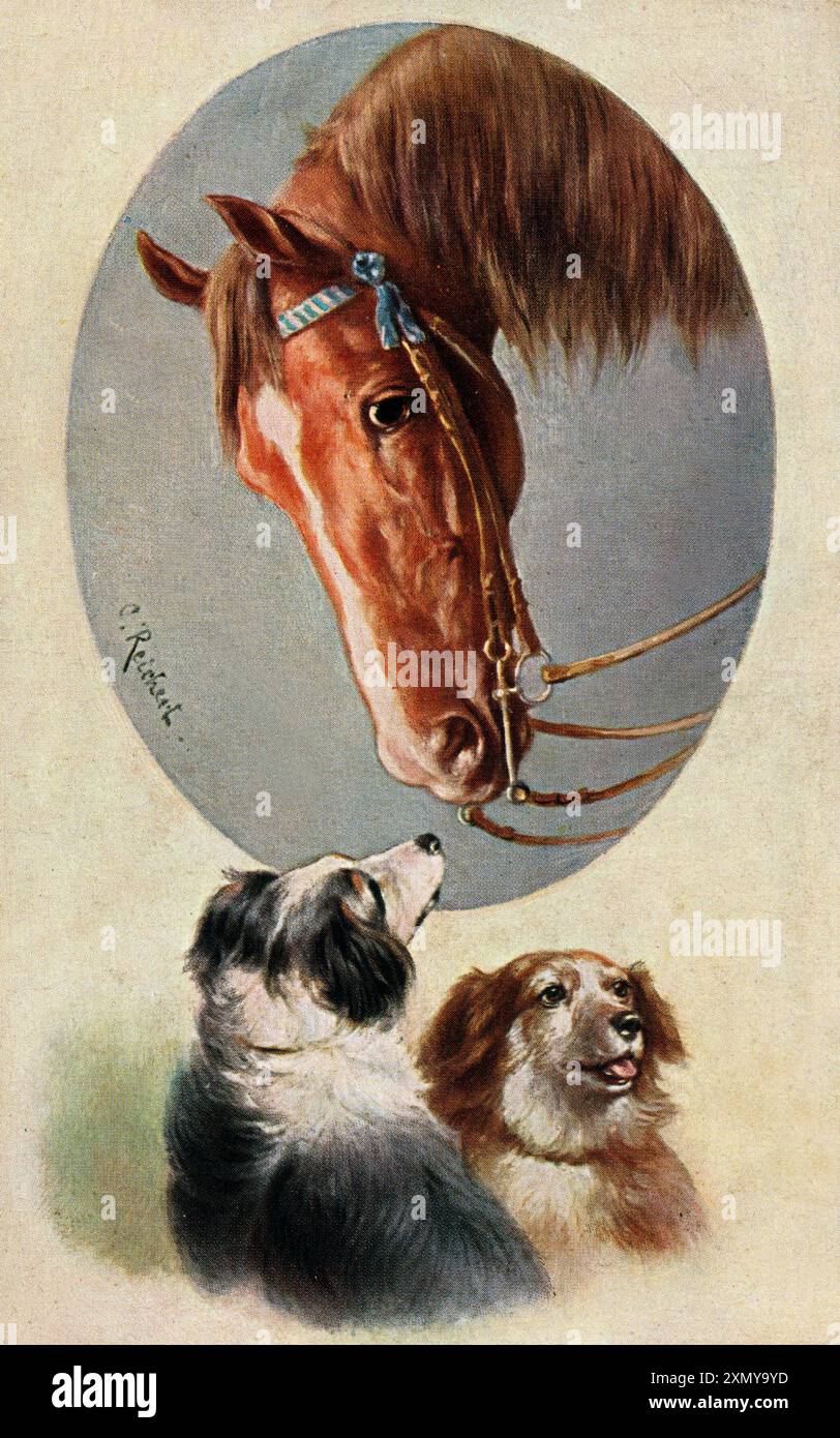 Un cheval et deux chiens de travail - Autriche Banque D'Images