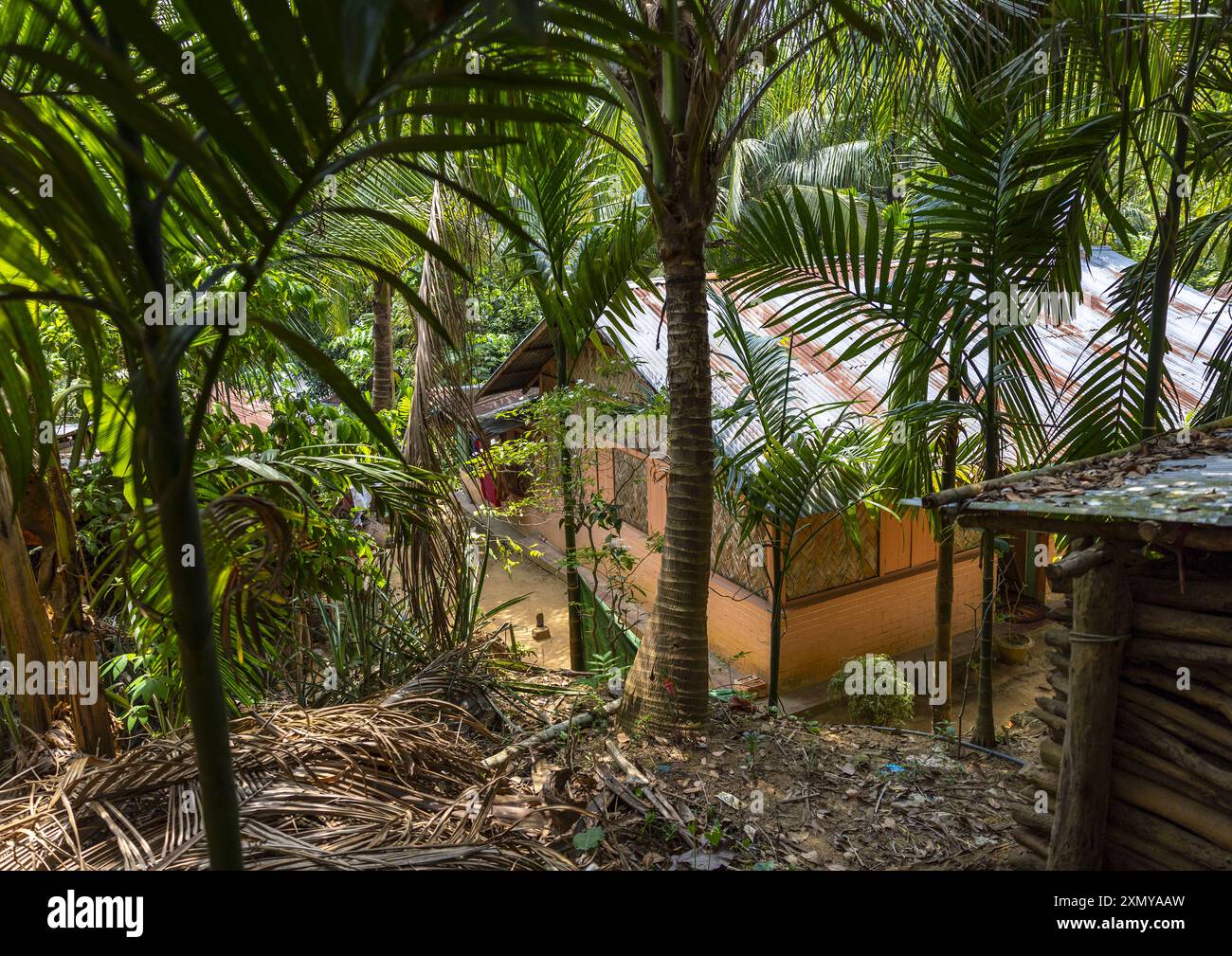 Maison traditionnelle en bambou Chakma, division de Chittagong, Rangamati Sadar, Bangladesh Banque D'Images