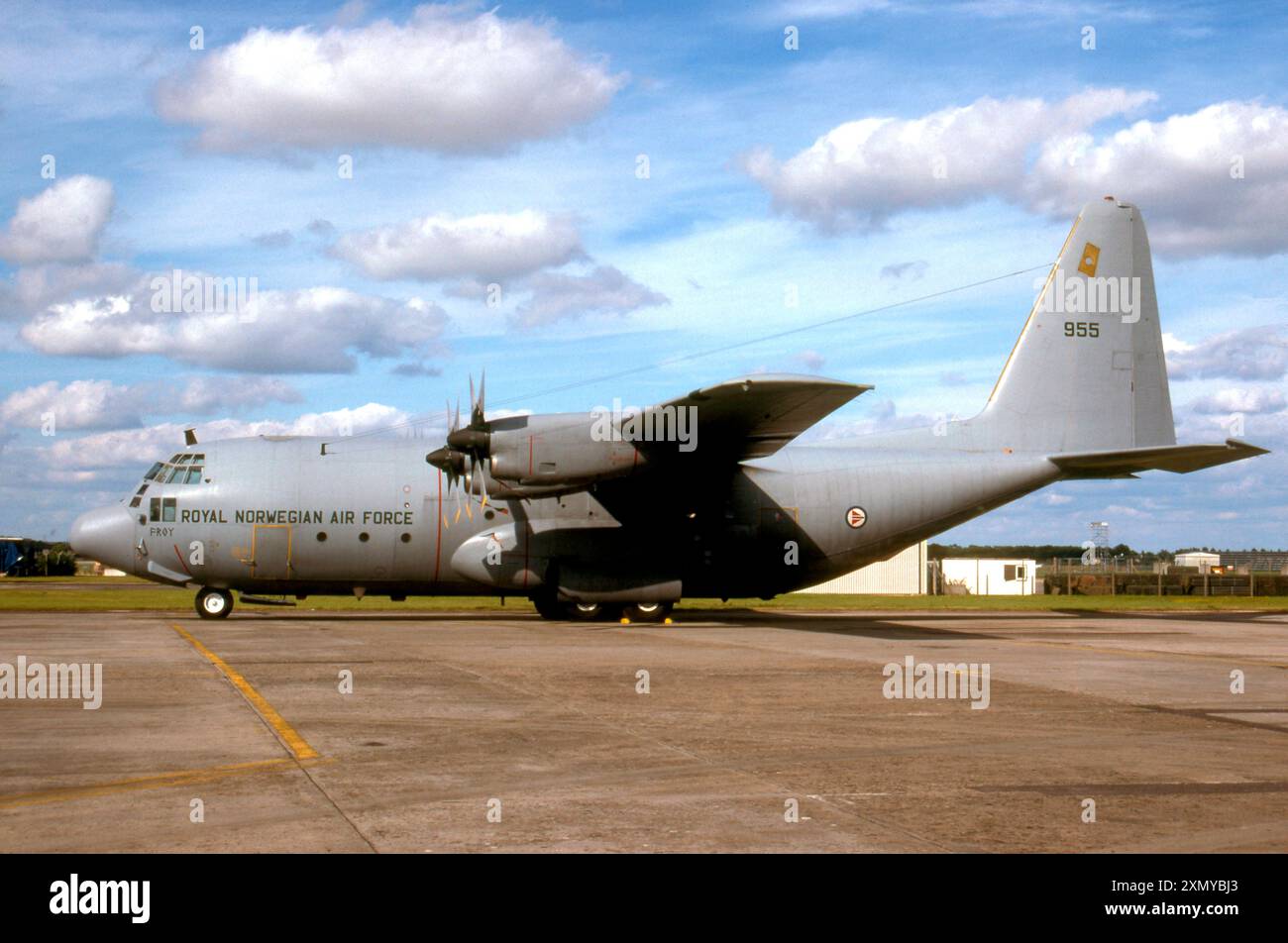 Lockheed C-130H Hercules 955 'Froy' Banque D'Images