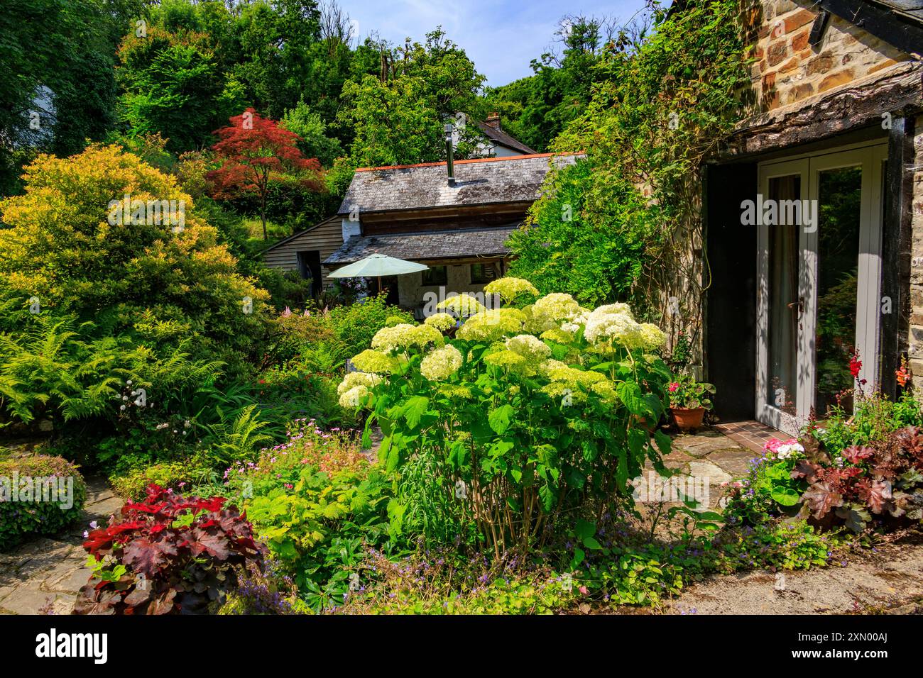 Un mélange attrayant de plantation colorée et d'aménagement paysager dur à Docton Mill Garden, Lymebridge, North Devon, Angleterre, Royaume-Uni Banque D'Images