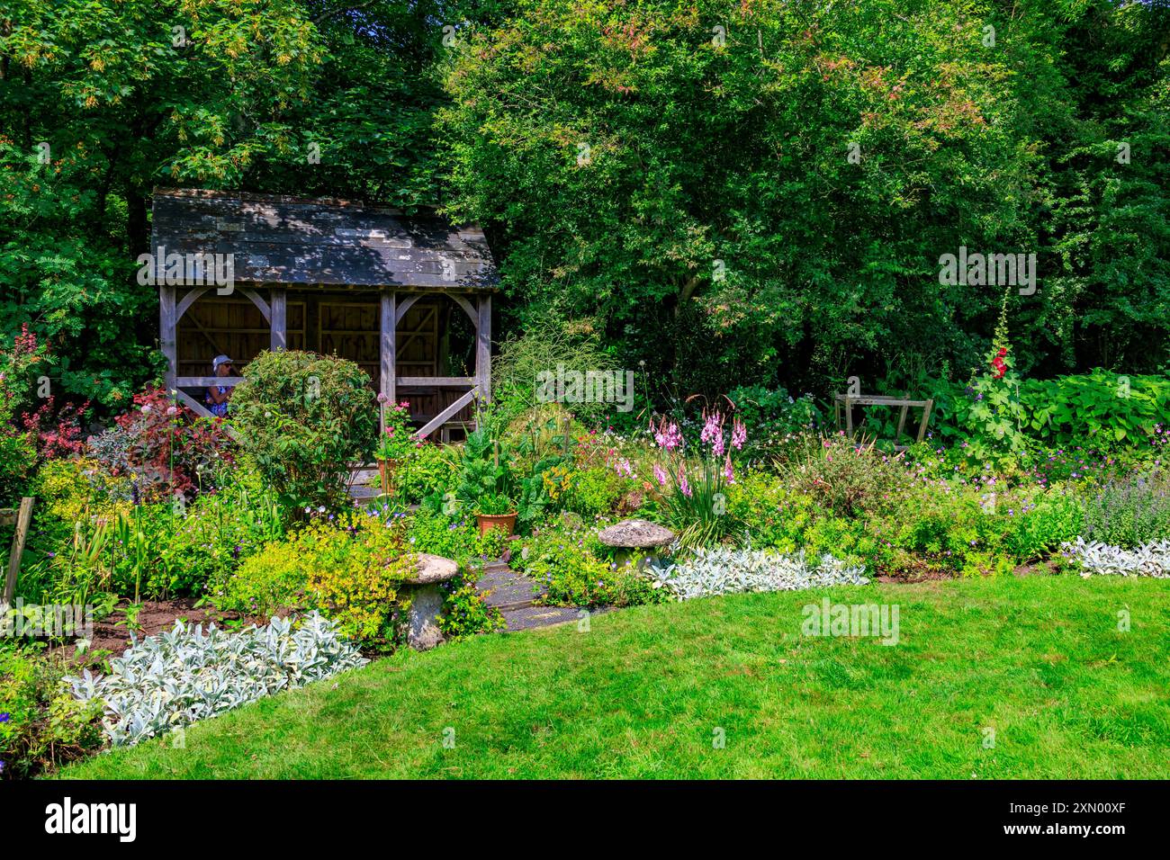 Une maison d'été en bois et une bordure herbacée colorée à Docton Mill Garden, Lymebridge, North Devon, Angleterre, Royaume-Uni Banque D'Images