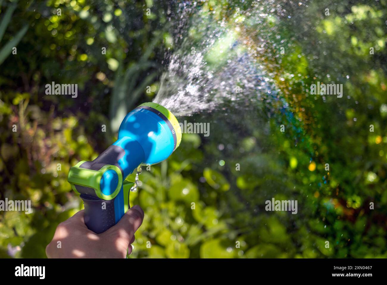 Le tuyau d'arrosage dans ma main pulvérise de l'eau. Éblouissement irisé du soleil sur l'herbe verte. Gros plan. Copier l'espace. Banque D'Images