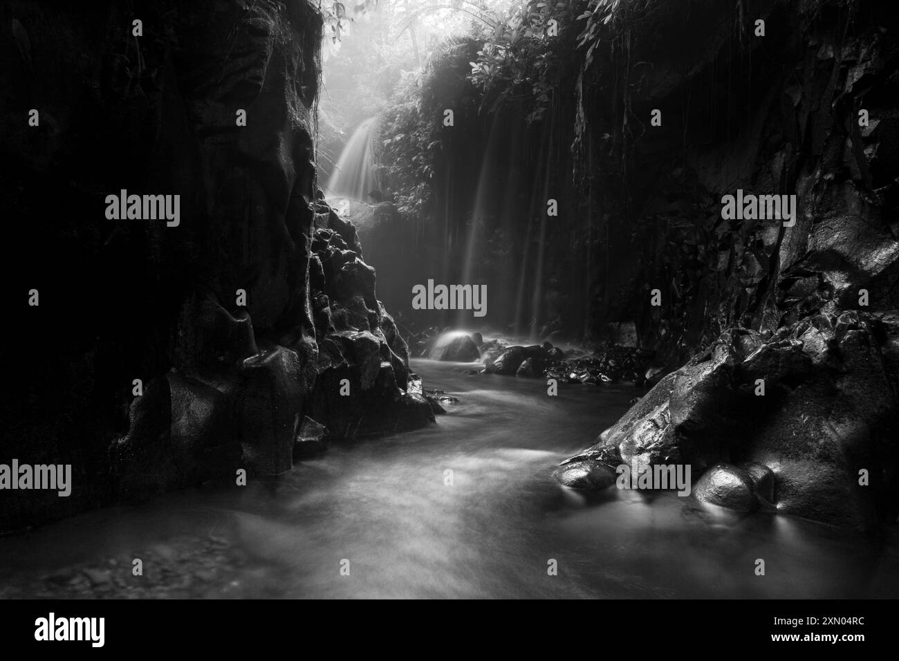 indonésie beauté paysage rizières dans le nord de bengkulu naturel belle vue matinale de l'Indonésie des montagnes et de la forêt tropicale Banque D'Images