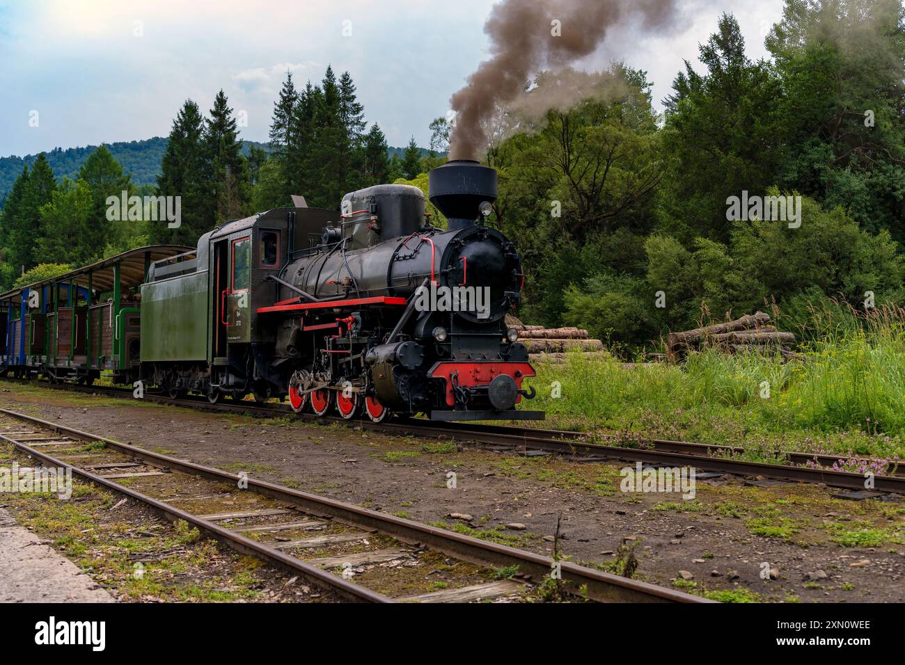 Train historique forrest à voie étroite à la gare de Balnica Bieszczady Pologne Carpatia Banque D'Images