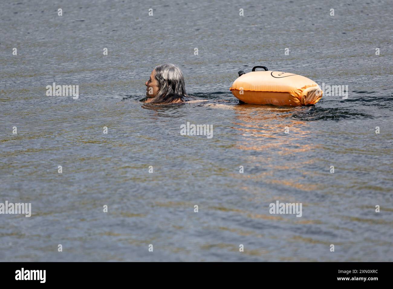 Femme eau froide nageant dans un lac avec un flotteur de remorquage attaché Banque D'Images