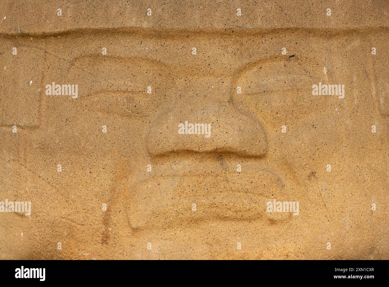 Santiago Tuxtla, Veracruz, Mexique - 5 juillet 2023 : le soleil d'été brille sur l'ancienne tête colossale olmèque nommée Monument One, connue sous le nom de tête la Cobata. Banque D'Images