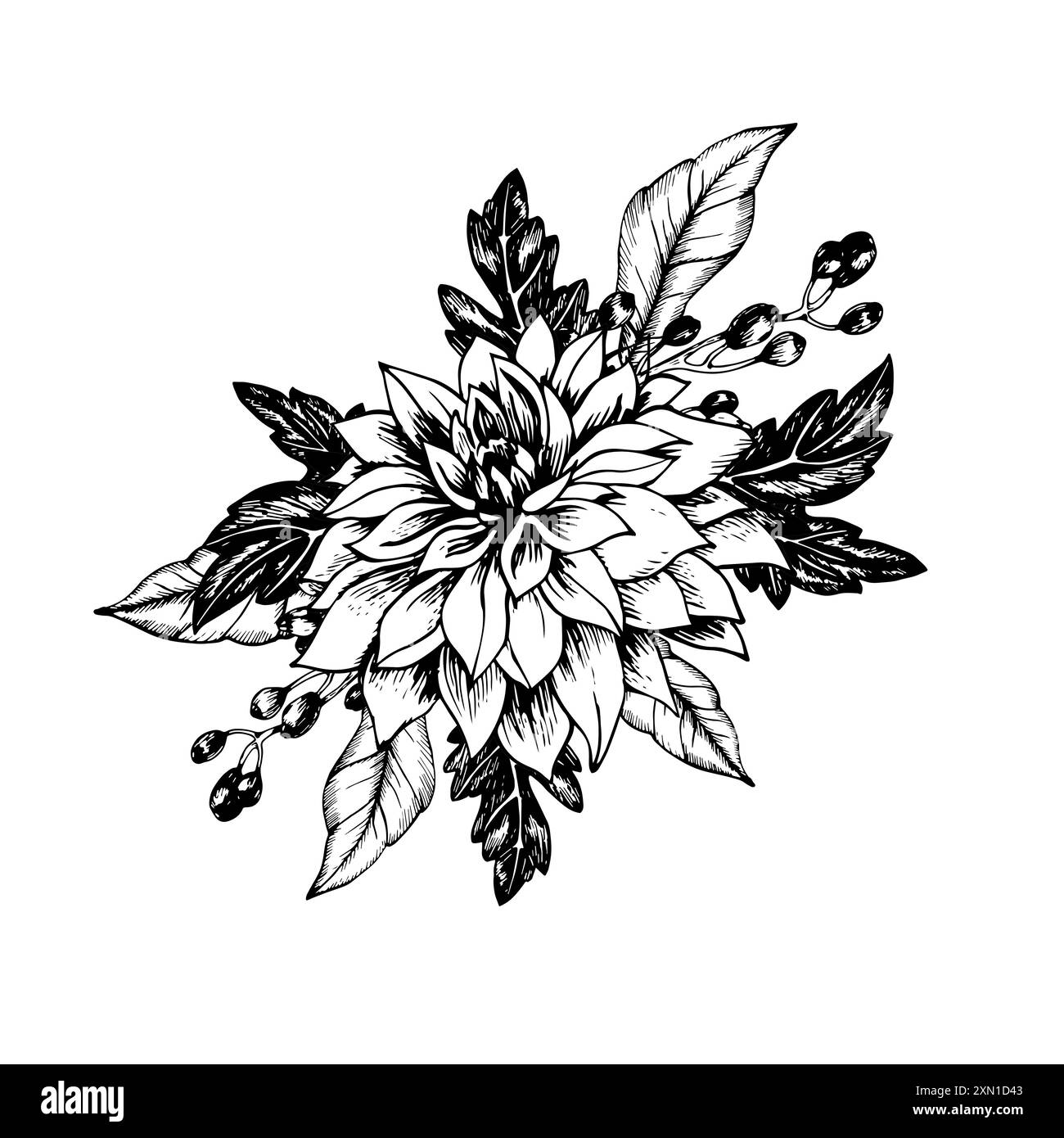 Dahlia avec des baies de sureau et des feuilles croquis. Illustration vectorielle dessinée à la main en noir et blanc. Illustration de Vecteur