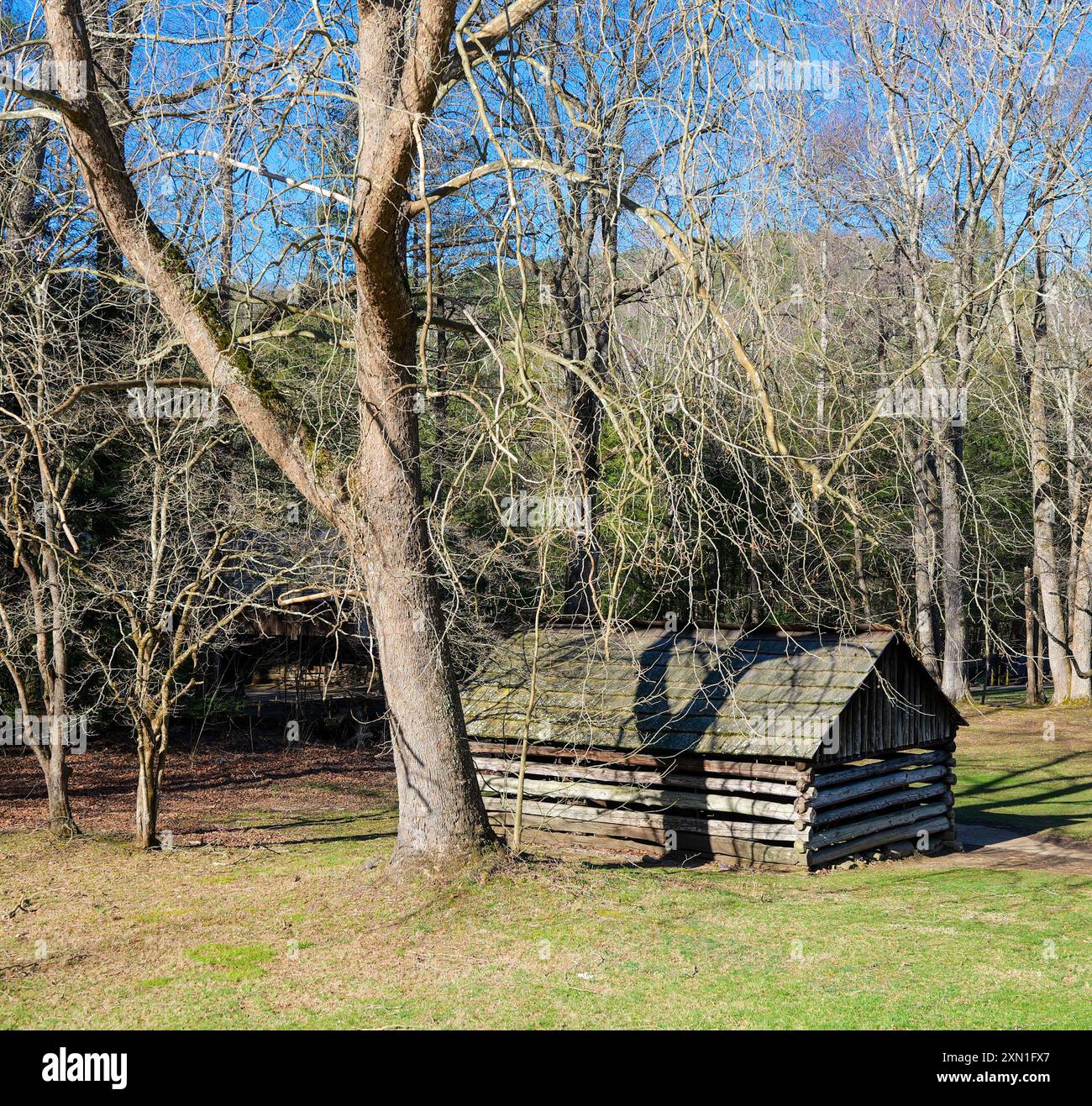 Une ancienne grange rustique ou hangar en rondins, à côté d'un grand arbre, à Cades Cove dans le parc national des Great Smokey Mountains dans le Tennessee. Banque D'Images