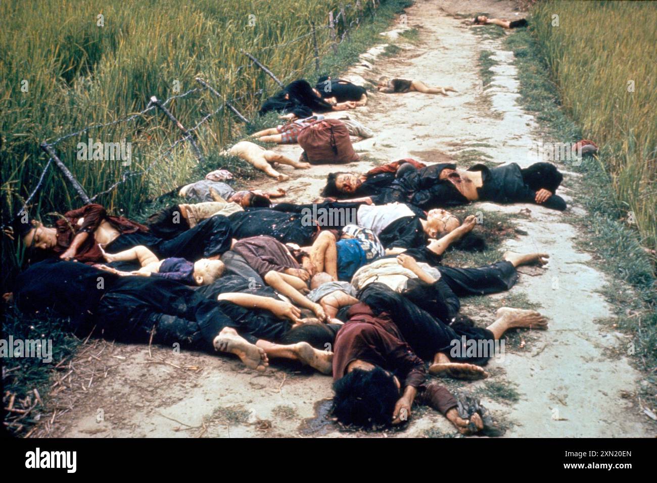 Mon massacre de Lai, des femmes et des enfants après avoir été tués par des GI américains. Mon massacre de Lai. Hommes, femmes et enfants vietnamiens tués dans le massacre de My Lai pendant la guerre du Vietnam. Les suites du massacre de My Lai montrant principalement des femmes et des enfants morts sur une route. Banque D'Images