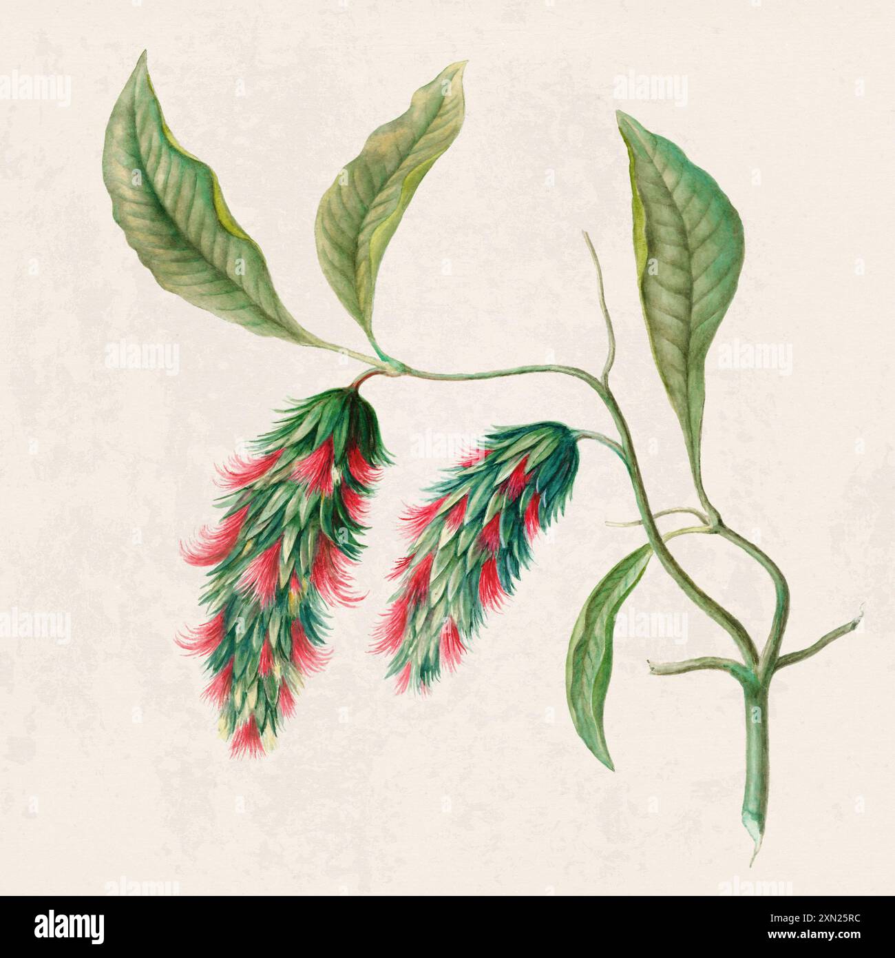 Fleurs tropicales. Illustration de fleurs colorées. Aquarelle numérique sur un fond beige rustique. Banque D'Images