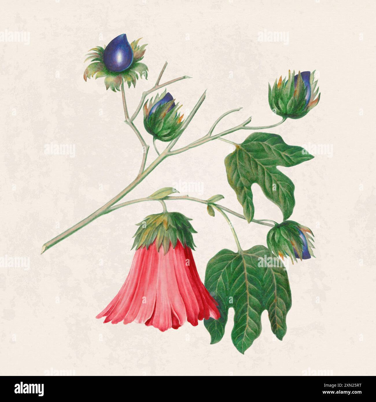 Fleurs tropicales. Illustration de fleurs colorées. Aquarelle numérique sur un fond beige rustique. Banque D'Images