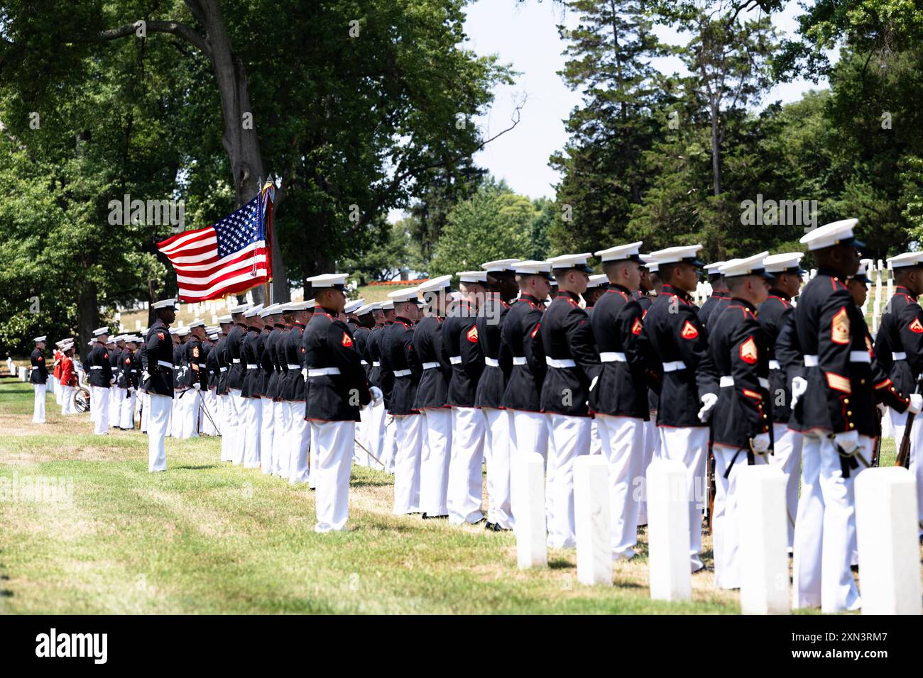 Les Marines de la Marine Band, « The President’s Own », et de la Marine Barracks, Washington, DC (8e et I) dirigent les honneurs funéraires militaires avec escorte funéraire pour le 29e commandant du corps des Marines retraité Gen. Alfred Gray, Jr. dans la section 35 du cimetière national d'Arlington, Arlington, Virginie, le 29 juillet 2024. Gray s'est enrôlé dans le corps des Marines en 1950 et a servi comme opérateur radio avec le peloton de reconnaissance amphibie en Corée. Il s'est déployé huit fois au cours de ses 41 ans de carrière, notamment en dirigeant les premières opérations terrestres indépendantes d'une unité des Marines au Vietnam. Au cours de ces déploiements Banque D'Images