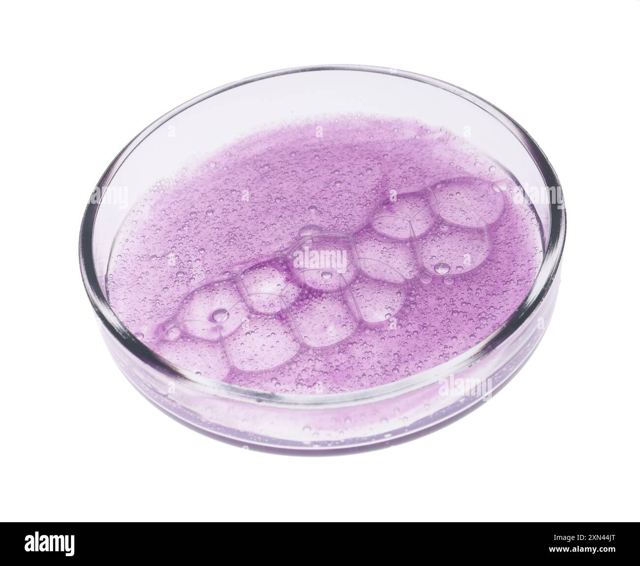 Boîte de Pétri avec échantillon isolé sur blanc Banque D'Images