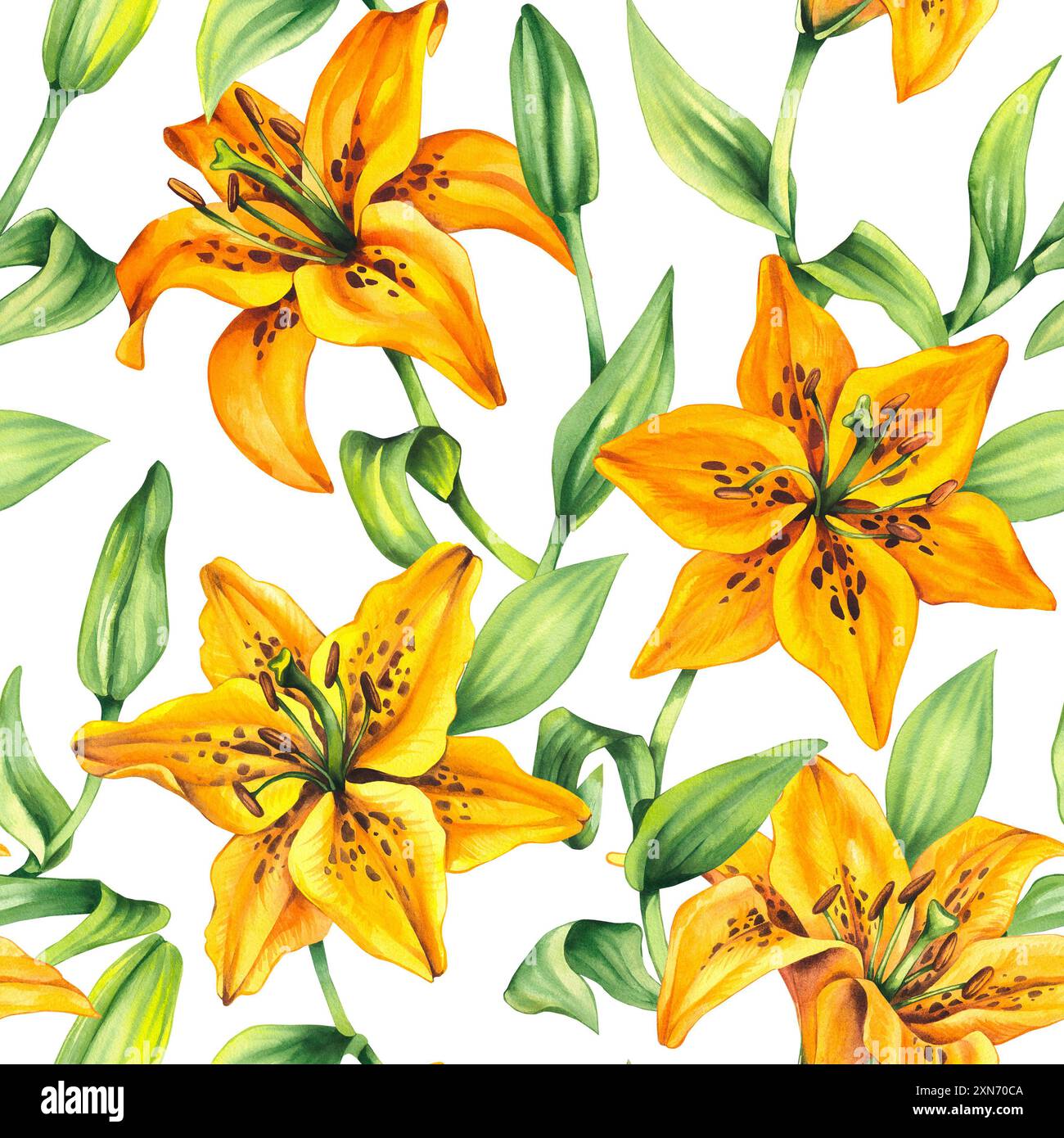 Motif de lis à l'aquarelle. Aquarelle fleur de lis couleur jaune. Motif botanique de fleur de lys. Motif de lis de fleurs et de bourgeons avec eleme dessiné à la main Banque D'Images