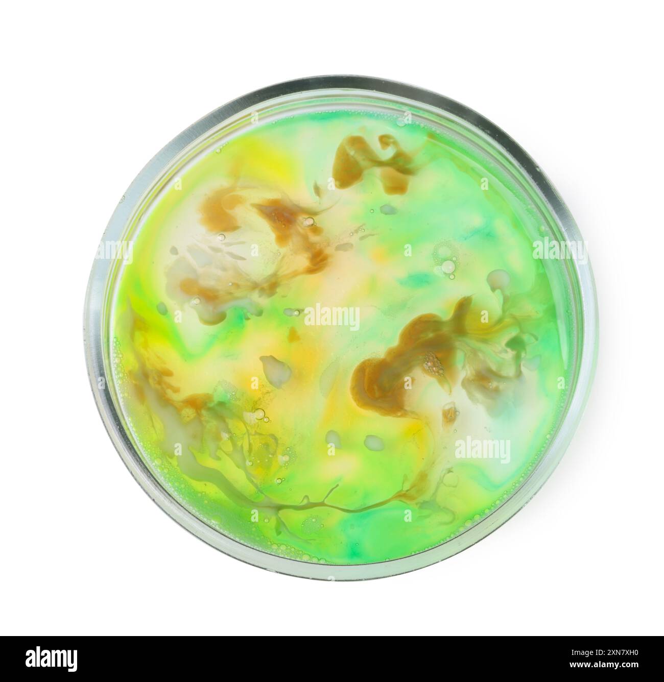 Boîte de Pétri avec bactéries isolées sur blanc, vue de dessus Banque D'Images