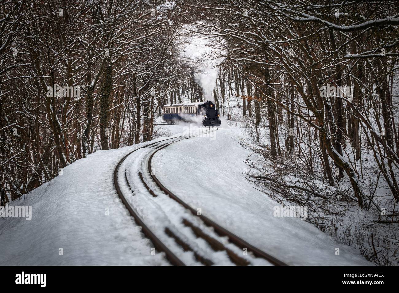 Budapest, Hongrie - belle scène de forêt enneigée d'hiver avec moteur à vapeur nostalgique (chemin de fer pour enfants) sur la piste dans les collines Buda près de Huvo Banque D'Images