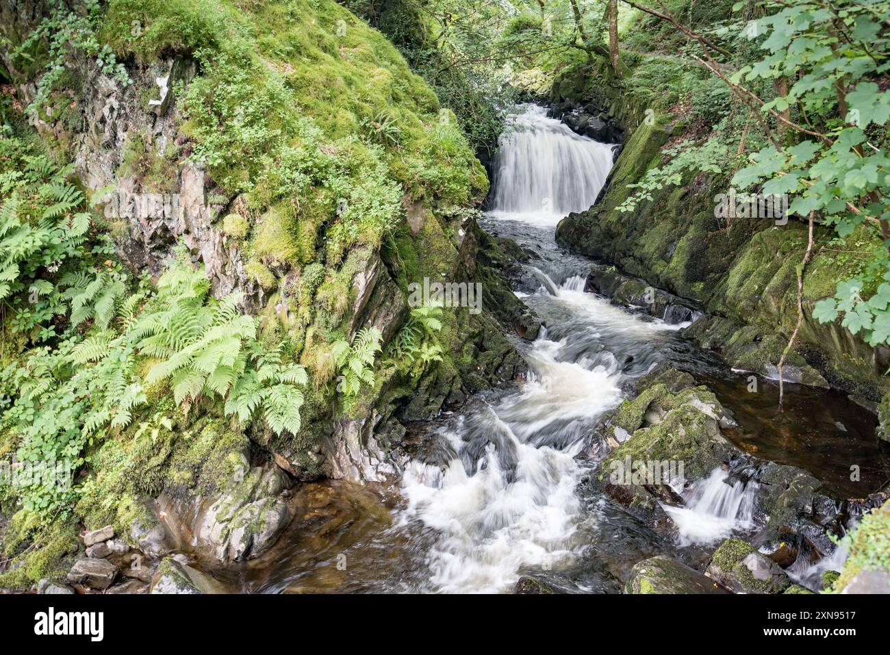 Eau brisée dans la région le long du chemin qui mène à la cascade de Ceunant Mawr à Llanberis, Gwynedd, pays de Galles du Nord Banque D'Images