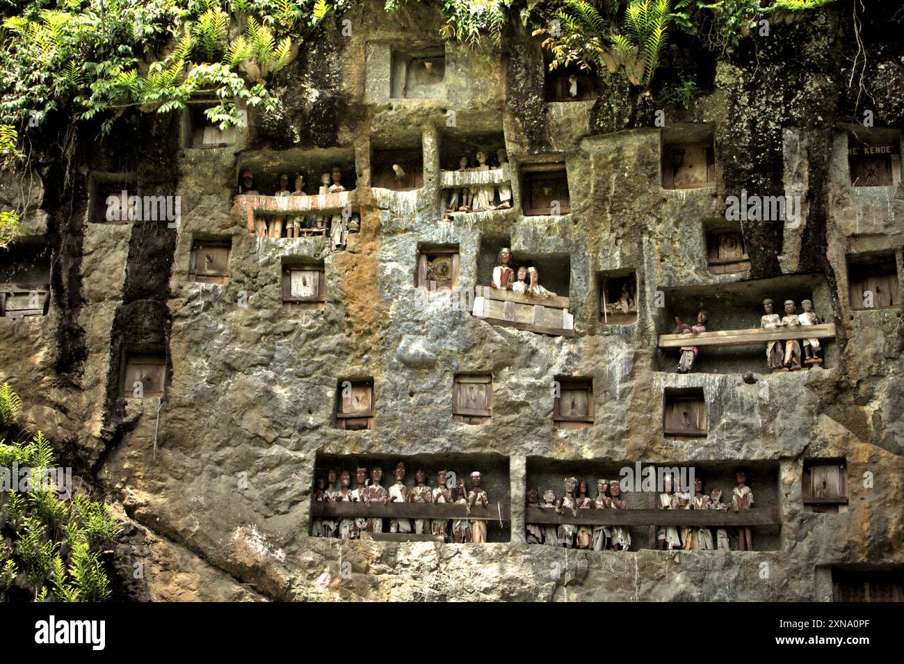 Des ouvertures en pierre et des effigies en bois sur une falaise dans un lieu de sépulture traditionnel à Lemo, au nord de Toraja, au sud de Sulawesi, en Indonésie. Banque D'Images