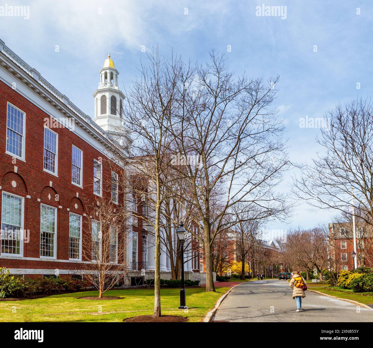 Boston, Massachusetts, États-Unis - 25 mars 2024 : étudiant marchant sur la rue Harvard Way devant la bibliothèque Baker sur le campus de la Harvard Business School (HBS). Banque D'Images