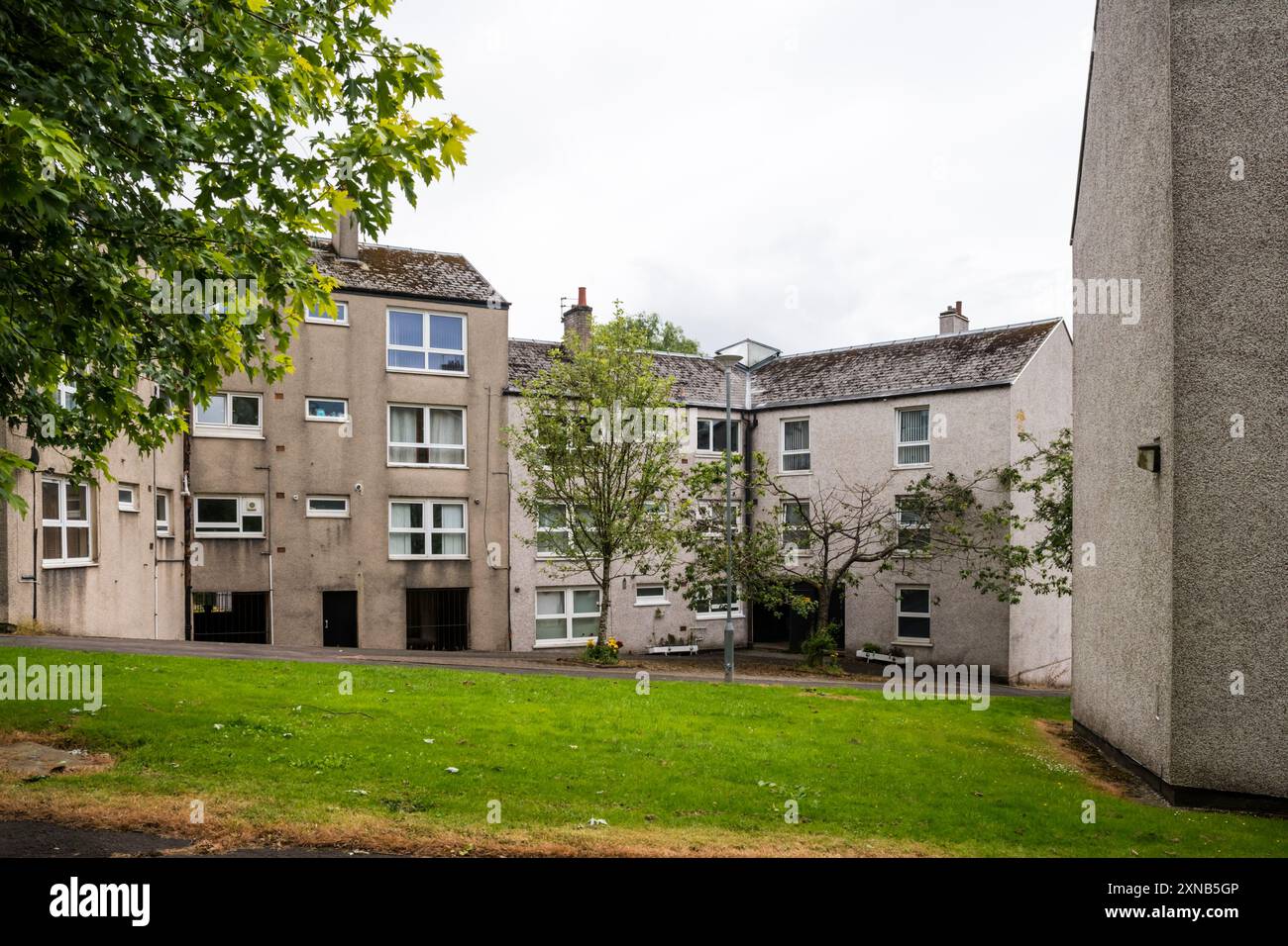 Logement des années 1960 à Kyle Road dans la région de Kildrum de Cumbernauld New Town dans le North Lanarkshire, Écosse. Banque D'Images