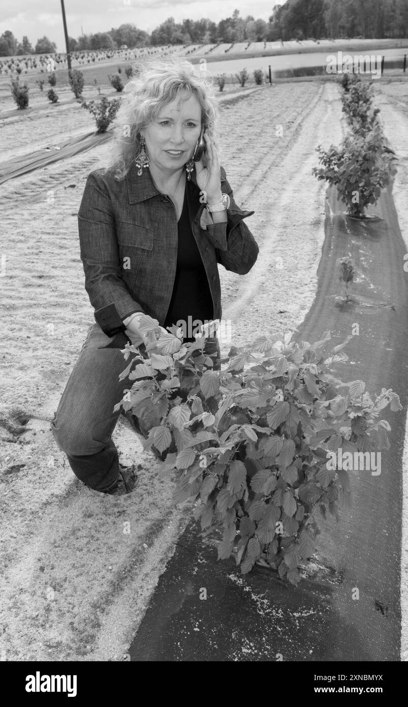 Femme caucasienne dans les années 40 à 50 inspectant un arbre de truffe française noir diamant tout en parlant sur son téléphone portable. Banque D'Images