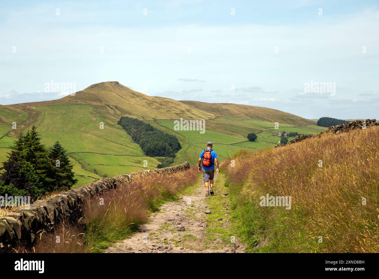 Homme marchant à dos le long d'une piste de campagne vers le Cheshire mini montagne Shutlingsloe dans le district de White Peak Angleterre Banque D'Images