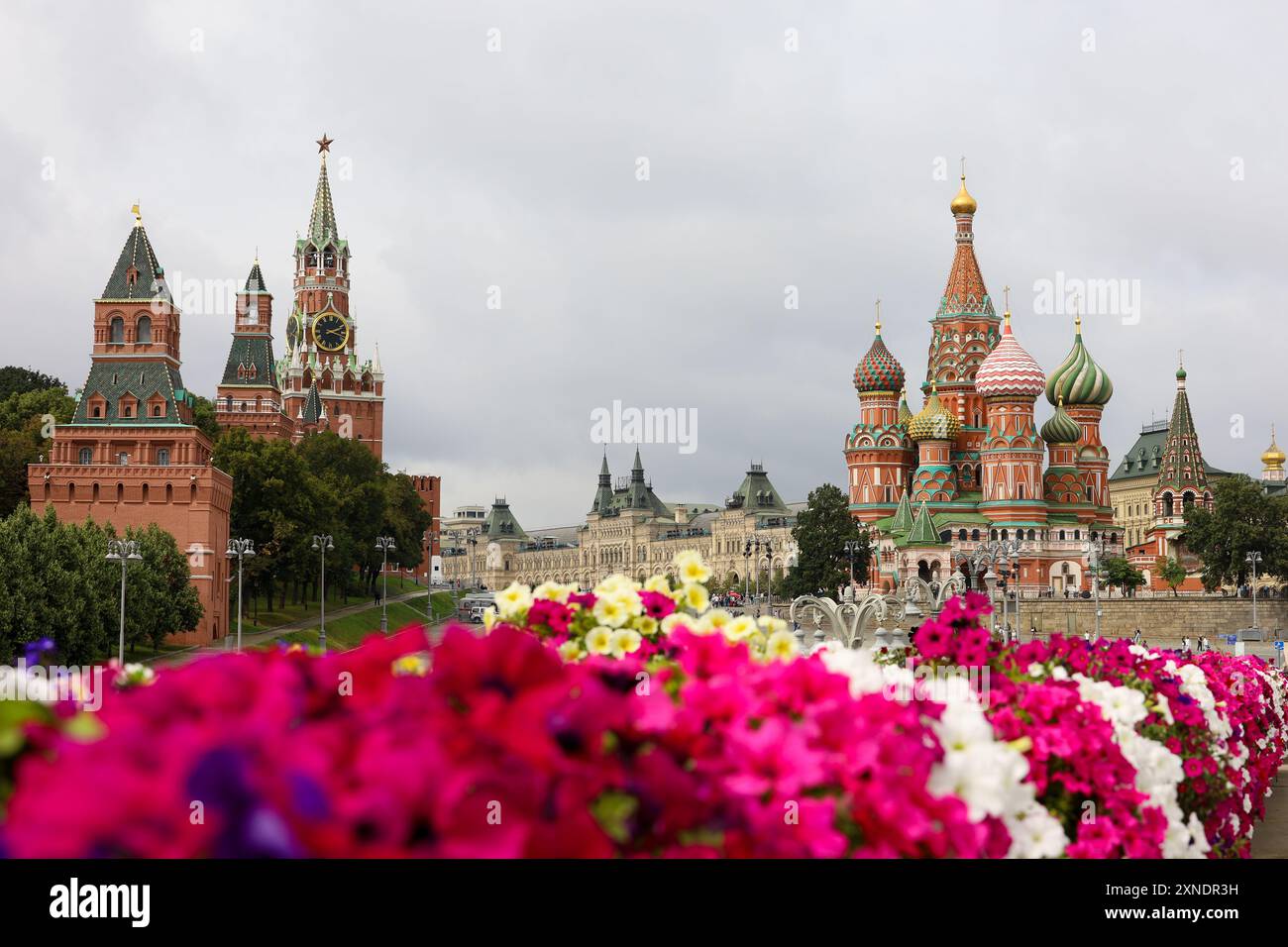 Vue à travers les fleurs des tours du Kremlin et de la cathédrale Saint-Basile sur la place Rouge à Moscou Banque D'Images