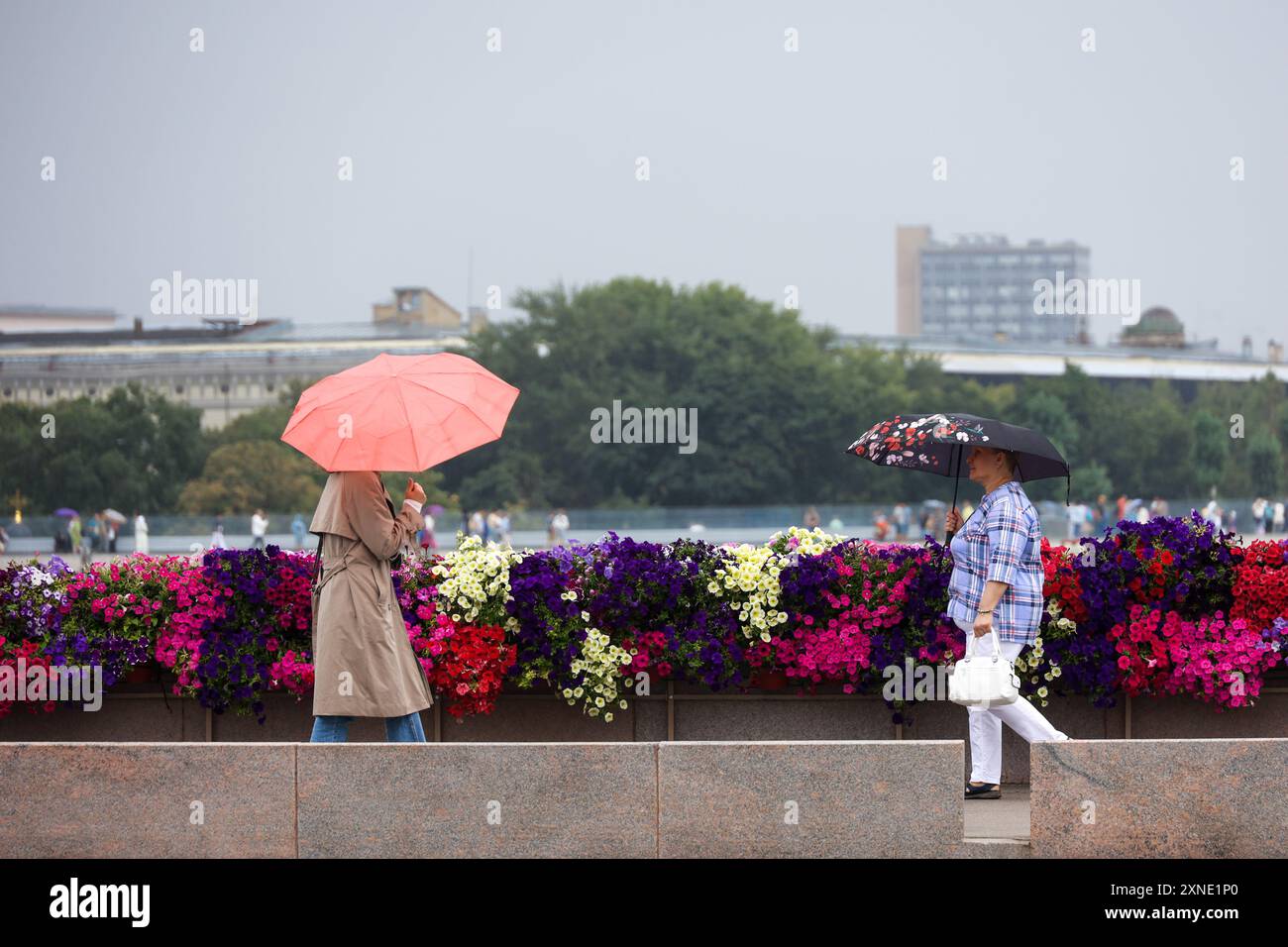 Femmes avec des parapluies marchant sur le pont Bolchoï Moskvoretsky. Pluie en ville en été Banque D'Images