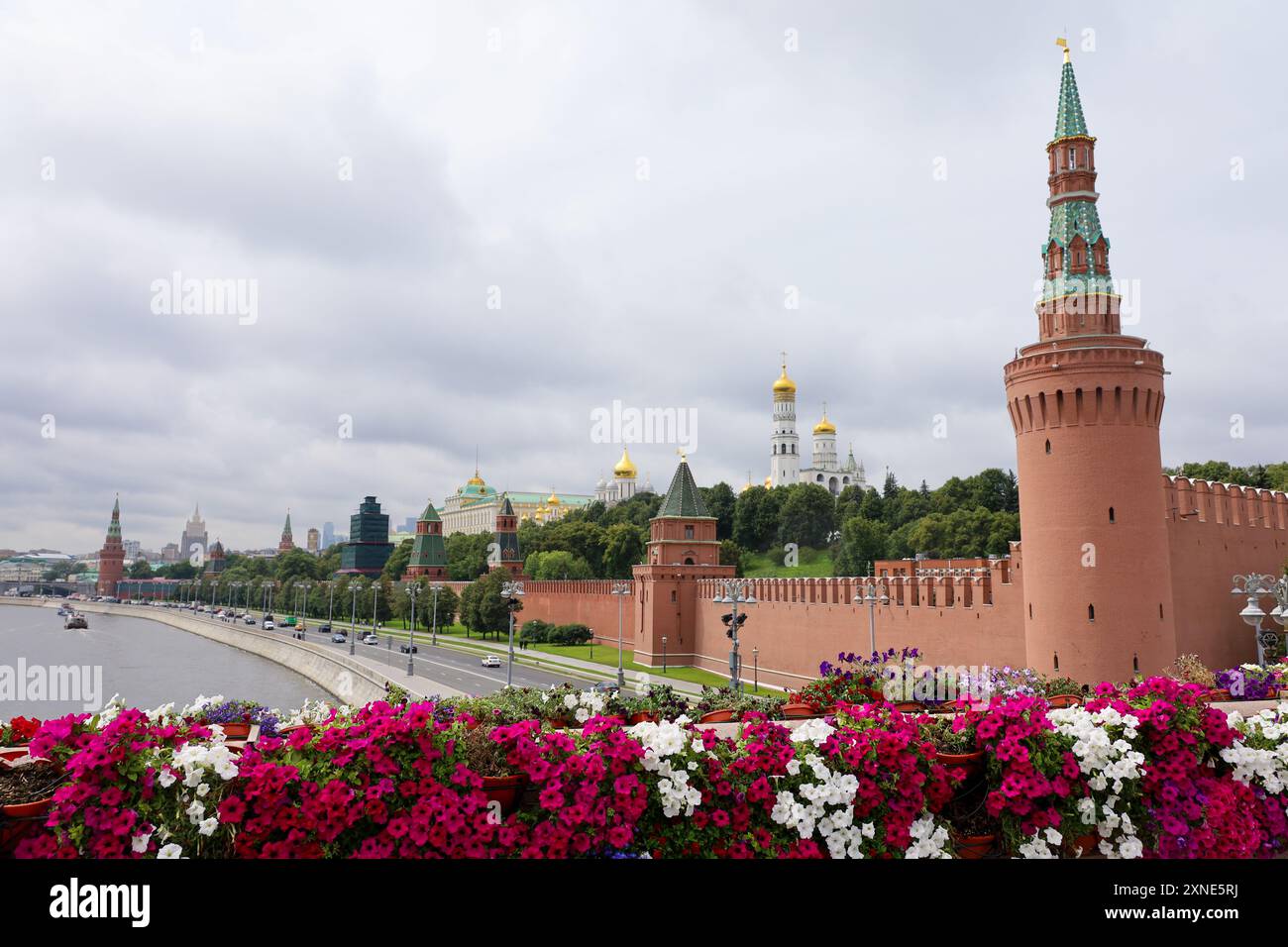 Vue à travers les fleurs des tours du Kremlin et de la rivière Moscou Banque D'Images