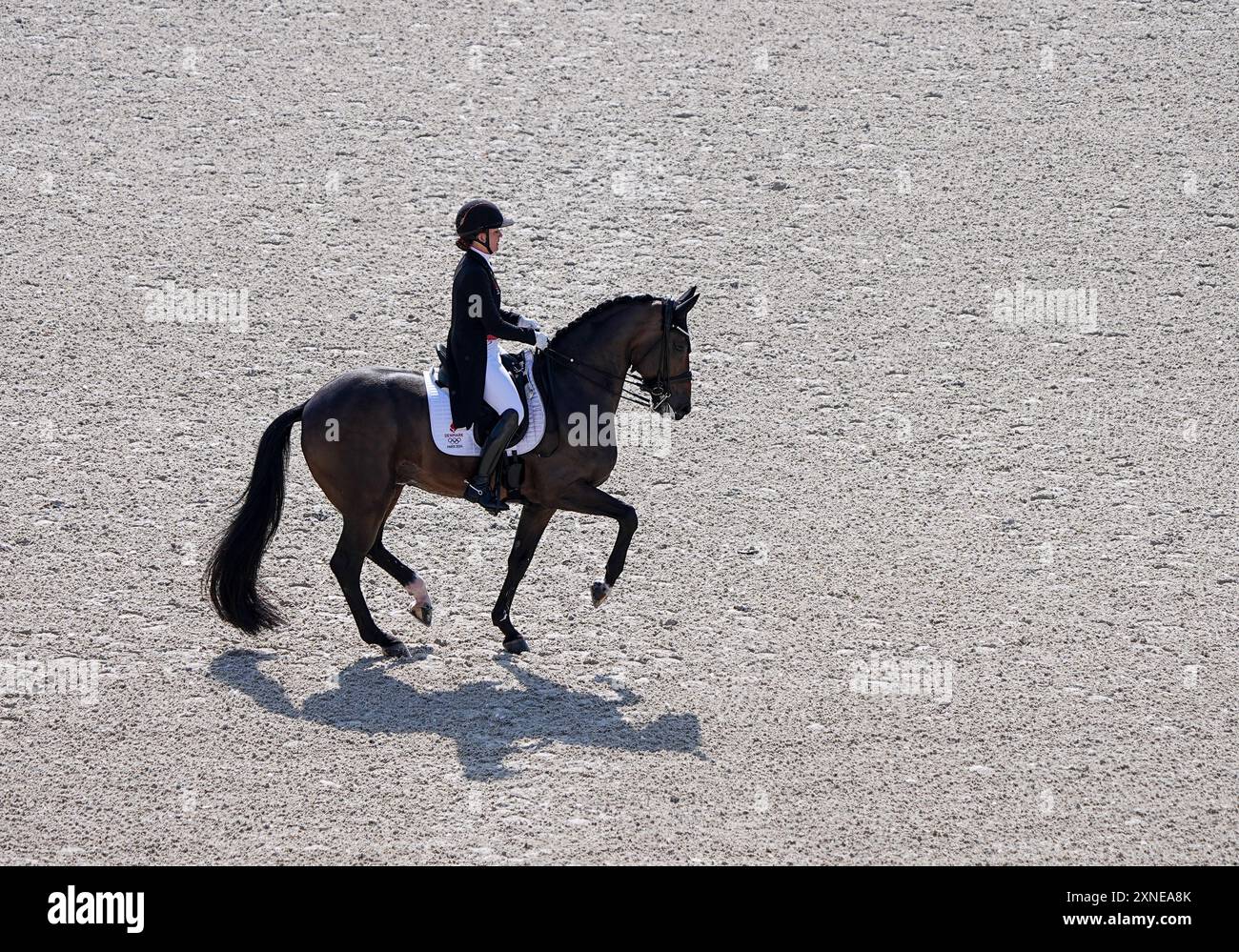 Versailles, France. 31 juillet 2024. Cathrine Laudrup-Dufour, danoise avec cheval Freestyle, participe au grand prix de dressage jour 2 de l’équitation aux Jeux Olympiques de Paris 2024 à Versailles, France, le 31 juillet 2024. Crédit : Yang Lei/Xinhua/Alamy Live News Banque D'Images