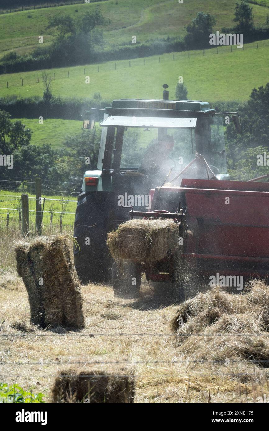 Pressage de foin et de paille avec un vieux tracteur dans le West Country Banque D'Images