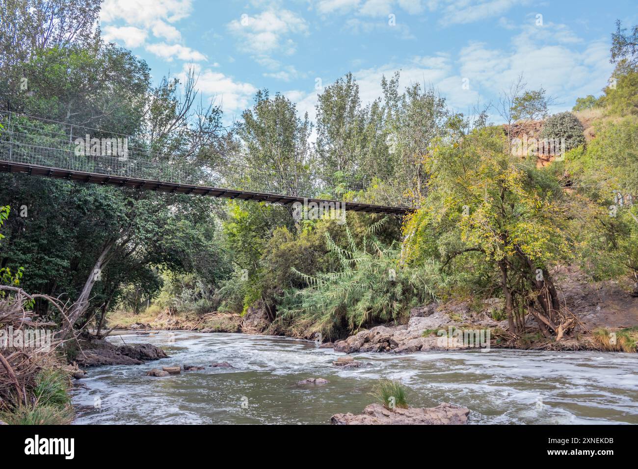 Vue d'un sentier de randonnée Hennops, avec rivière qui traverse, petit pont et téléphérique au-dessus de la rivière, Hartbeespoort, Johannesburg, Afrique du Sud Banque D'Images