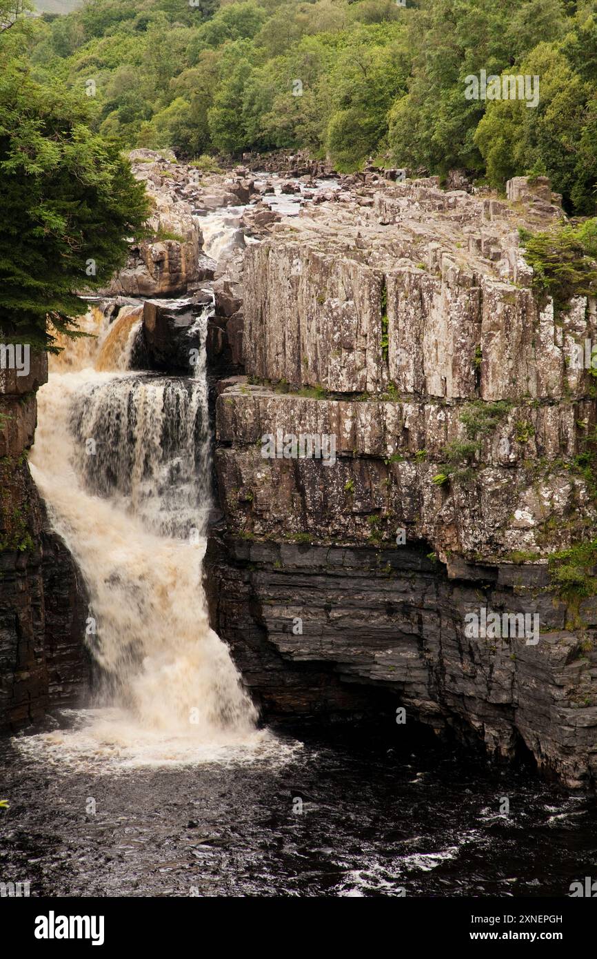 La cascade de High Force dans la rivière Tees, dans les Durham Dales, Royaume-Uni Banque D'Images