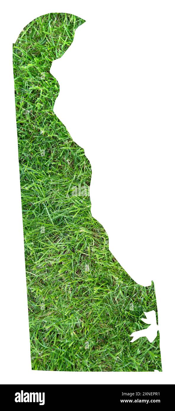 Symbole carte de l'État du Delaware (États-Unis d'Amérique) montrant le territoire de l'État comme un terrain de football sur gazon Banque D'Images