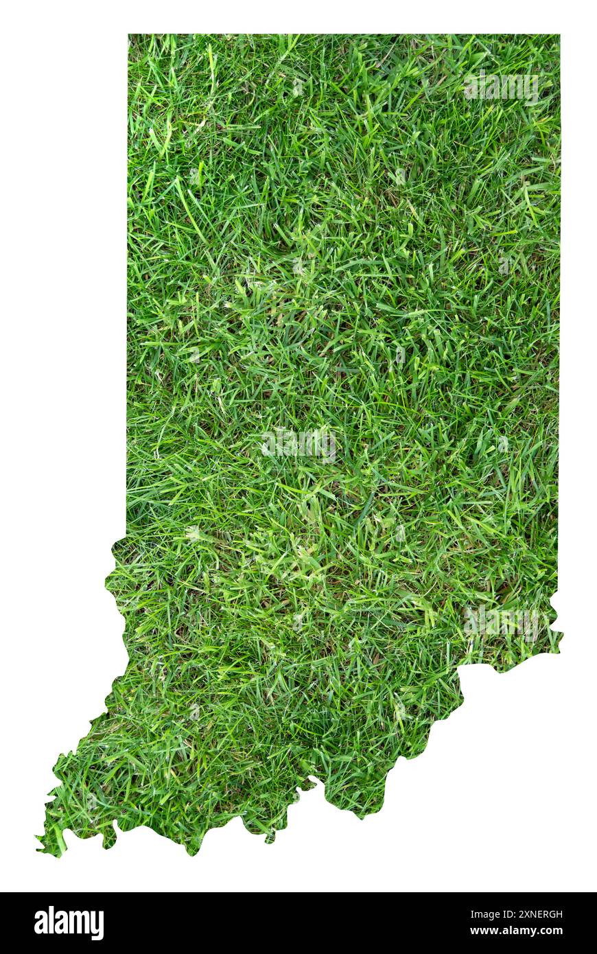 Symbole carte de l'État de l'Indiana (États-Unis d'Amérique) montrant le territoire de l'État comme un terrain de football sur pelouse Banque D'Images