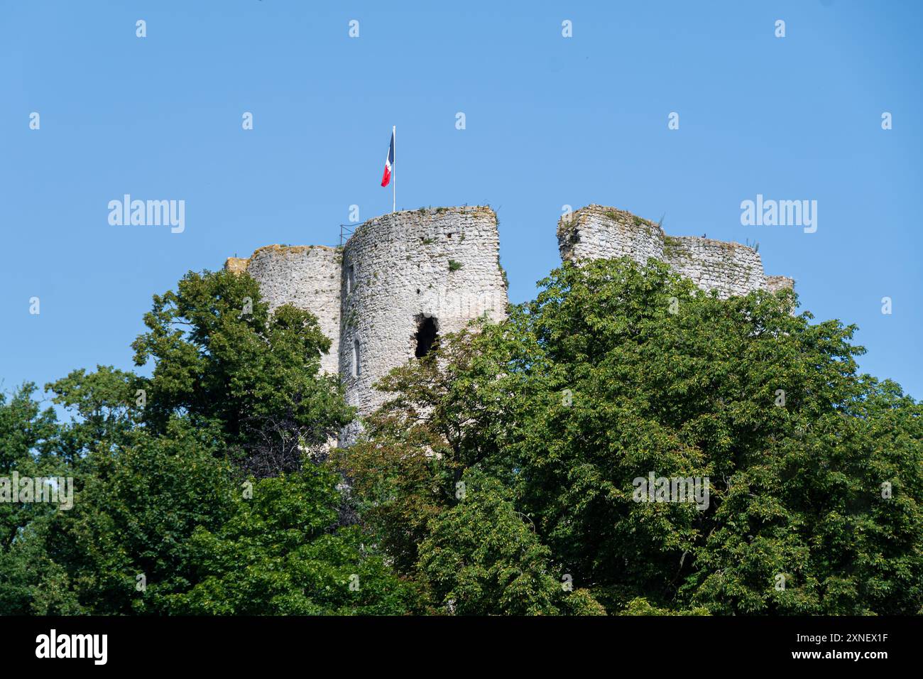 Ruines du château d'Etampes, également connu sous le nom de Tour de Guinette, donjon de l'ancien château royal construit par le roi Louis VI au XIIe siècle Banque D'Images