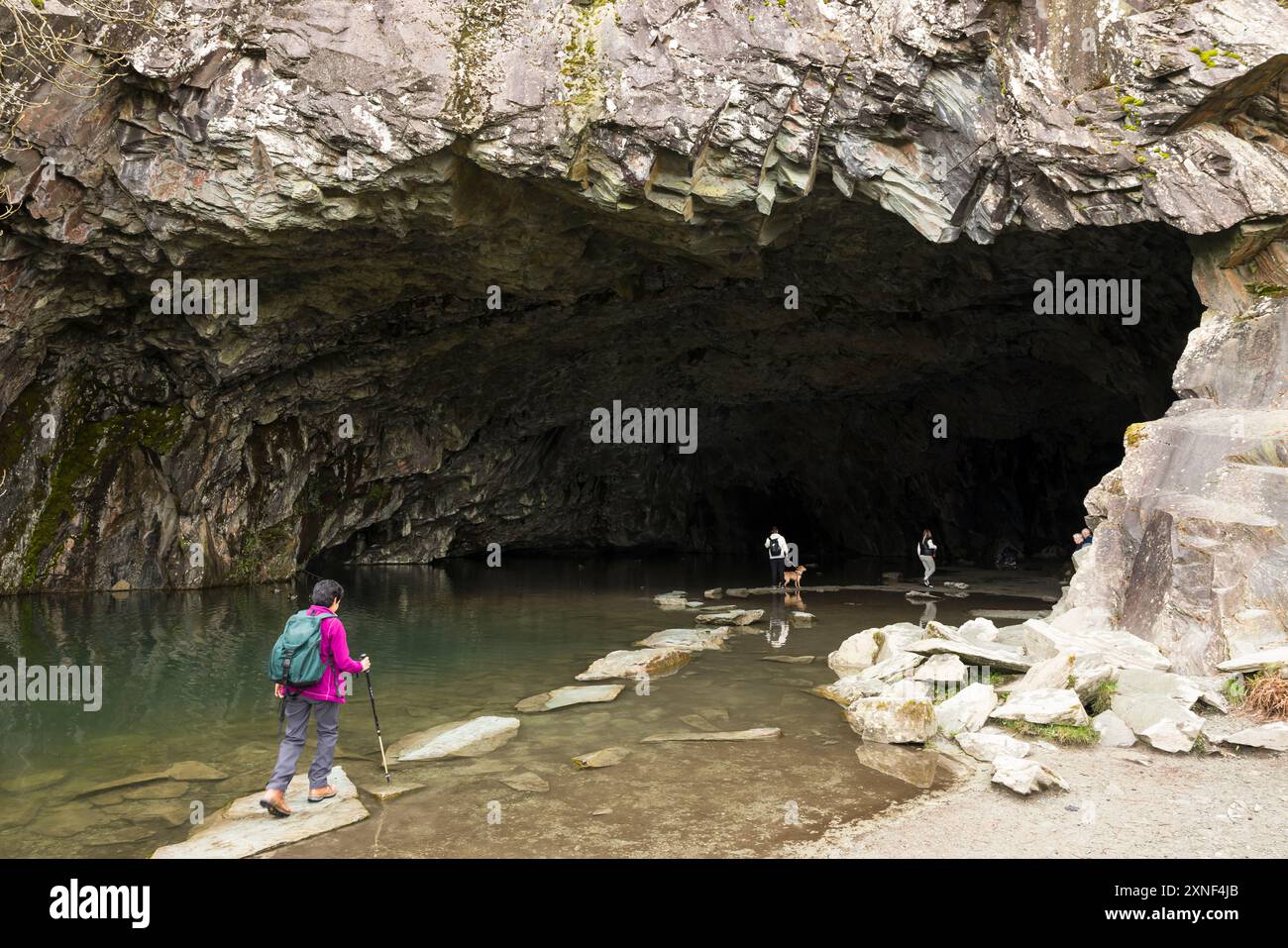 CUMBRIA, Royaume-Uni - 21 avril 2024. Les randonneurs marchent sur des tremplins à l'entrée de la grotte Rydal près d'Ambleside, Lake District, Royaume-Uni Banque D'Images