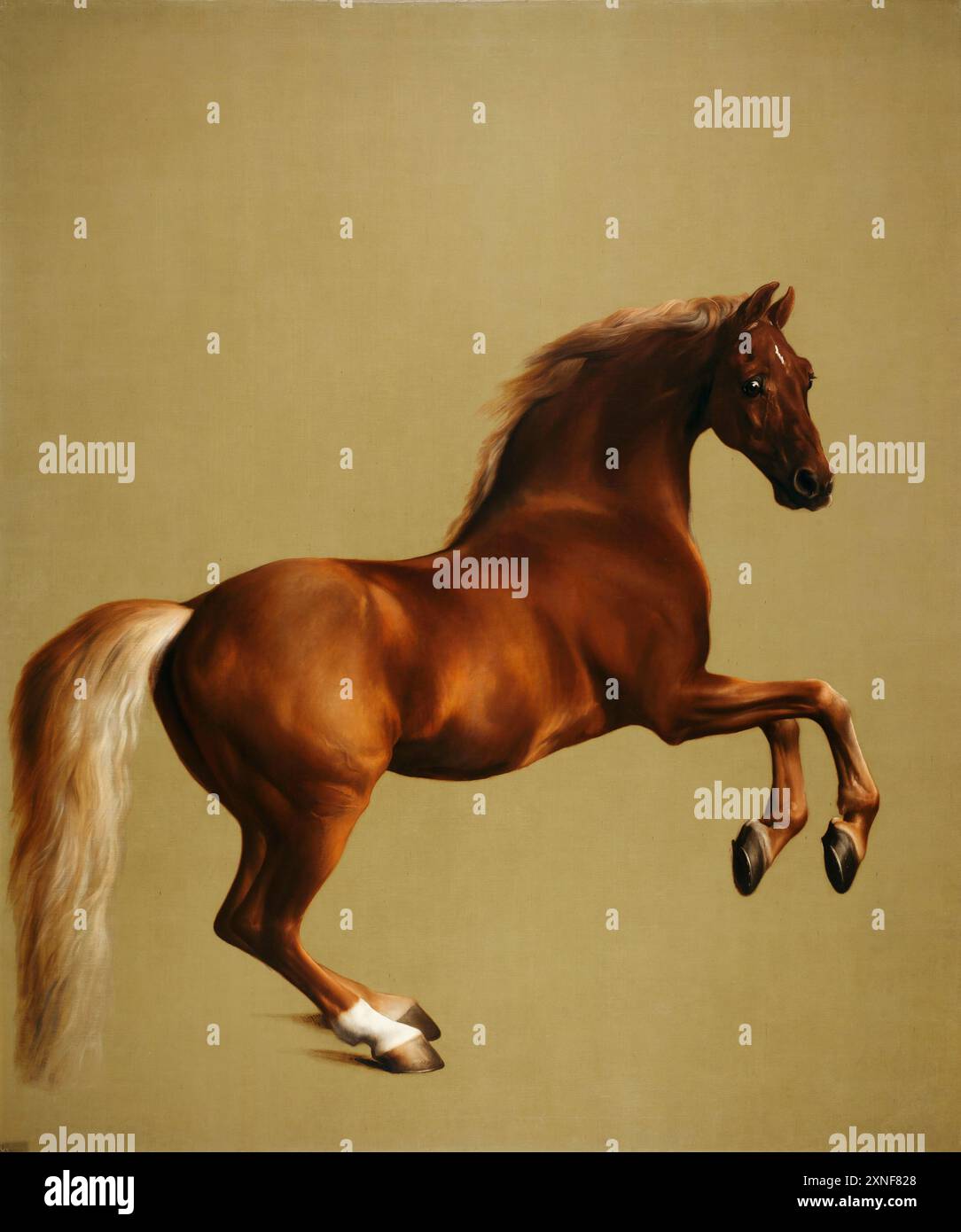 Veste sifflante. George Stubbs. c1762. Banque D'Images
