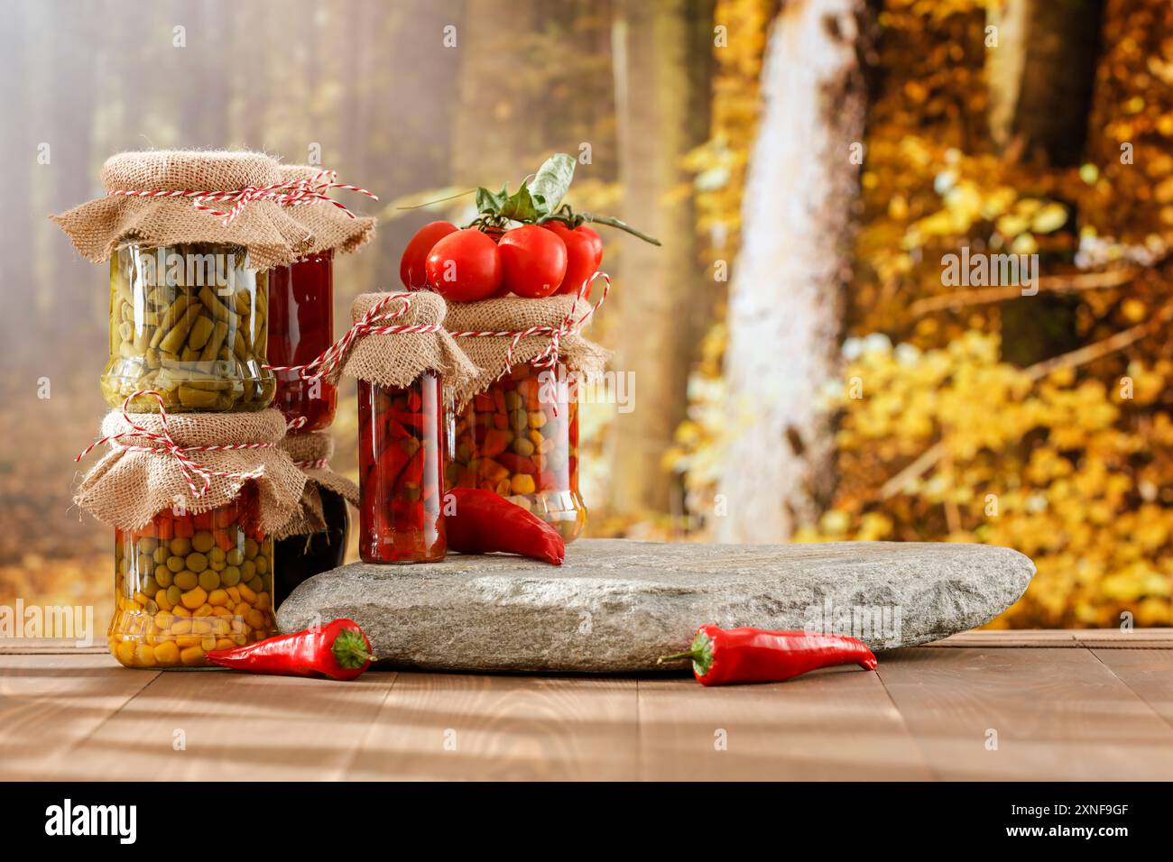 Conserves d'automne de légumes dans des bocaux en verre sur pierre se tiennent sur la table d'automne avec un espace vide pour les produits. Fond de champ de campagne d'automne flou Banque D'Images