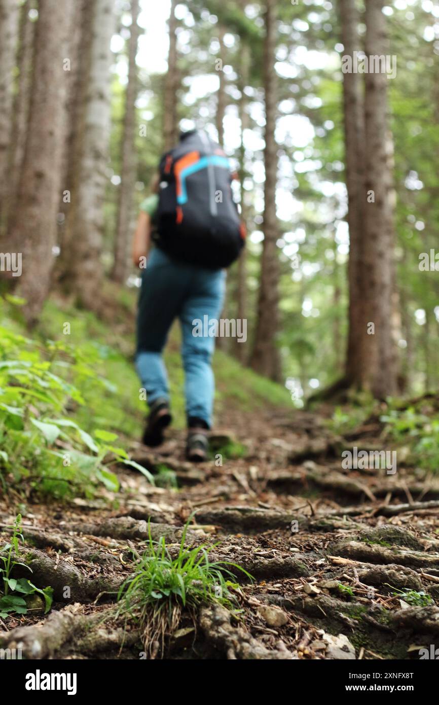 Une femme randonneuse monte un sentier forestier, portant du parapente sur son dos. La scène capture son esprit aventureux et la beauté sereine du W. Banque D'Images Une femme randonneuse monte un sentier forestier, portant du parapente sur son dos. La scène capture son esprit aventureux et la beauté sereine du W. Banque D'Images