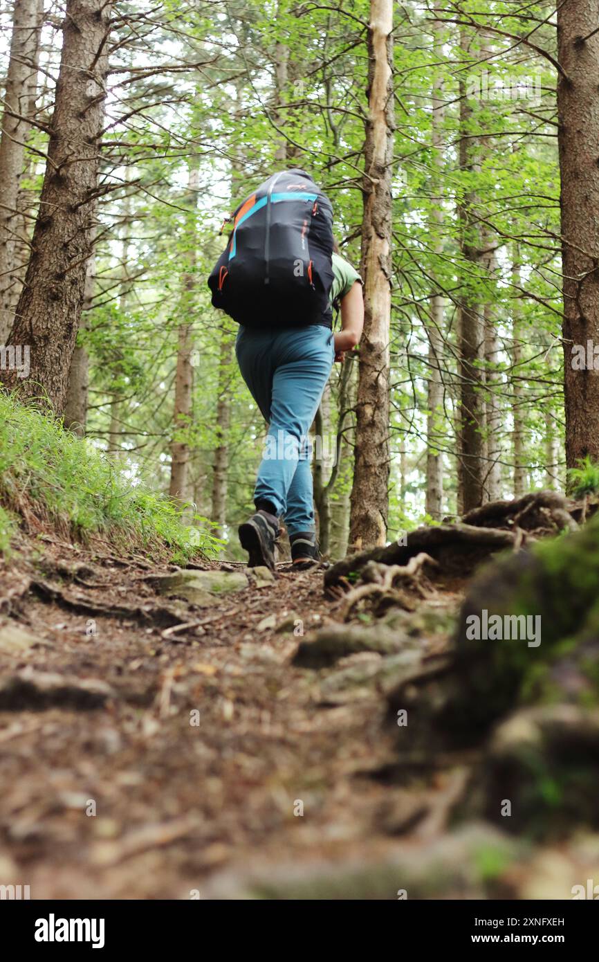 Une femme randonneuse monte un sentier forestier, portant du parapente sur son dos. La scène capture son esprit aventureux et la beauté sereine du W. Banque D'Images