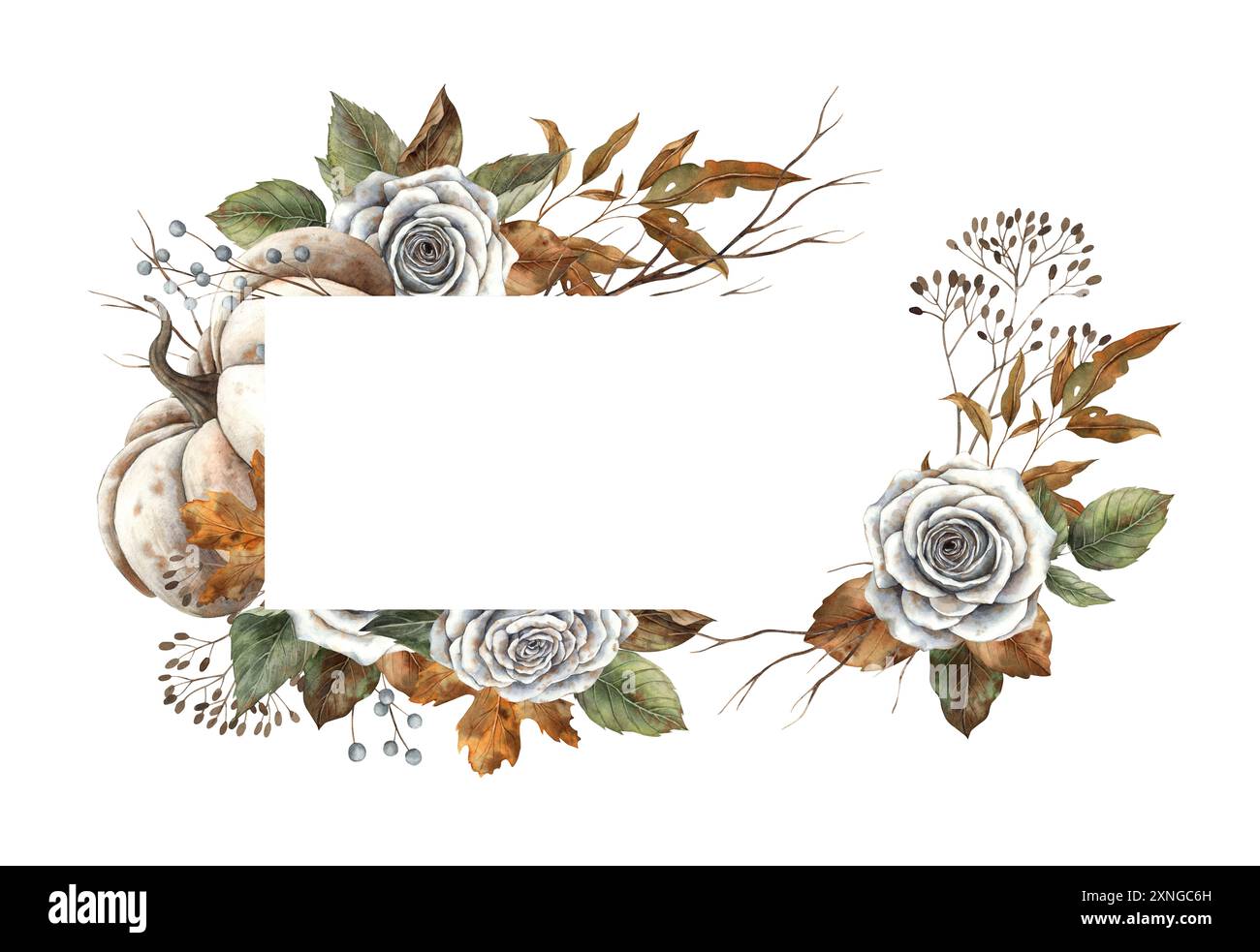 Citrouille blanche, roses vintage, feuilles vertes et sèches, branches et baies. Cadre rectangulaire aquarelle dessiné dans le style d'automne. Pour design, cartes, autum Banque D'Images