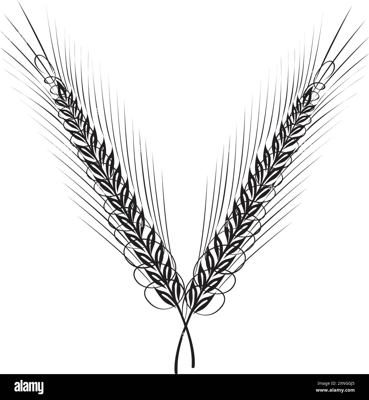 Céréales, orge de seigle et épis de blé. Concept de boulangerie. Illustration vectorielle d'esquisse dessinée à la main Illustration de Vecteur